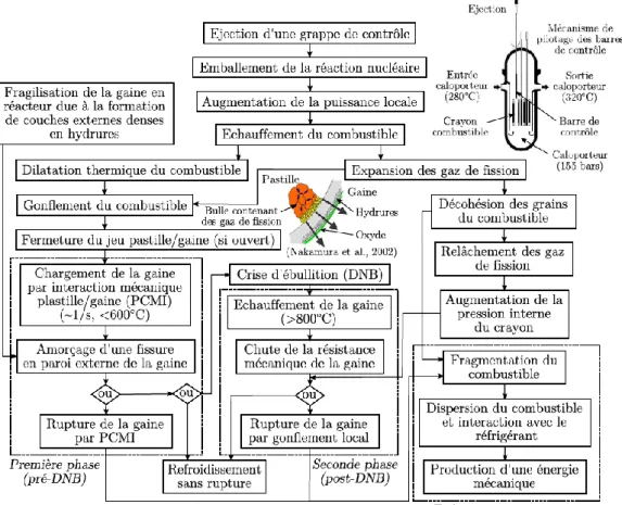 Figure 2.4 : Déroulement d’un RIA et conséquences sur le comportement des crayons  combustibles [15] 