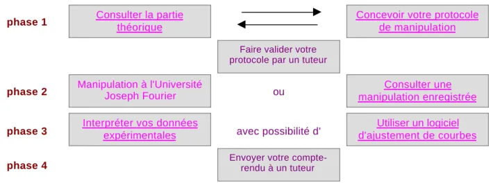 Figure 2 : retranscription de l'écran de navigation d'un TP (les parties de texte soulignées sont des liens hypertextes vers des RPM)
