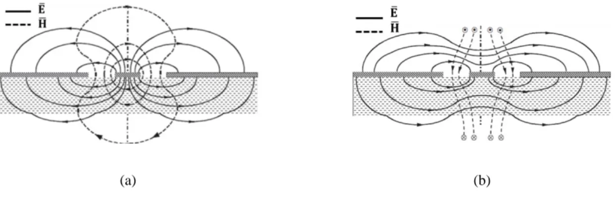 Figure I.13 - Lignes de champ électromagnétique d’une ligne CPW de mode (a) quasi-TEM (b) quasi-TE 