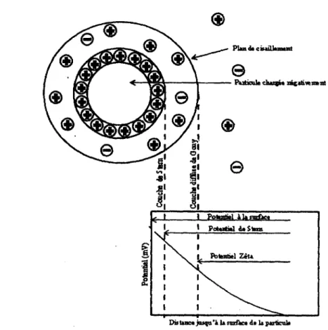 Figure 4. Modèle de la double couche électrique et du potentiel zêta (Q (adapté de 18) 