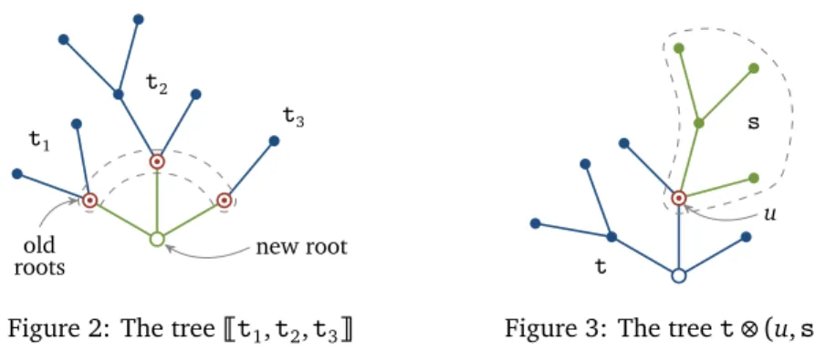 Figure 2: The tree ¹ t