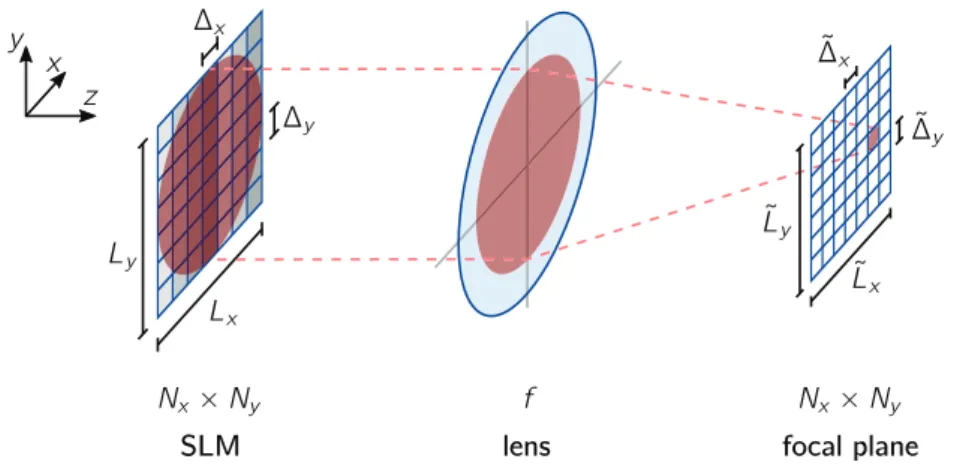 Figure 3.3: Illustration of the spatial dimensions in the SLM and focal plane.