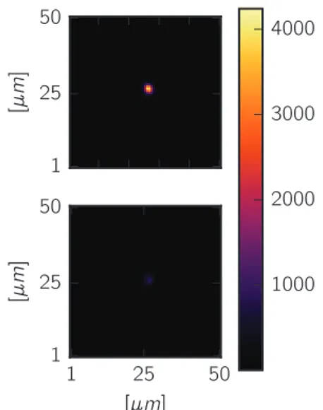 Figure 3.4.: The two diﬀerent signals acquired during the measurement.