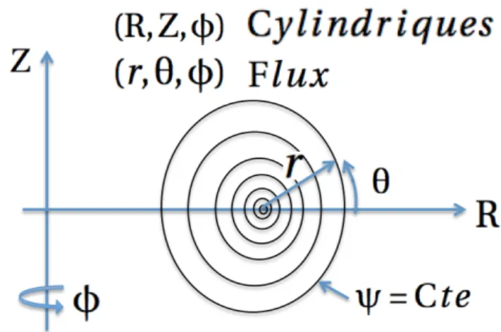 Figure 3.1 – Coordonnées cylindriques et alignées sur les surfaces de flux utilisées par XTOR-2F