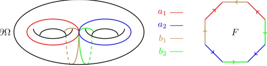 Figure 4: The surface ∂Ω of genus g = 2, its fundamental loops, and its fundamental polygon F 