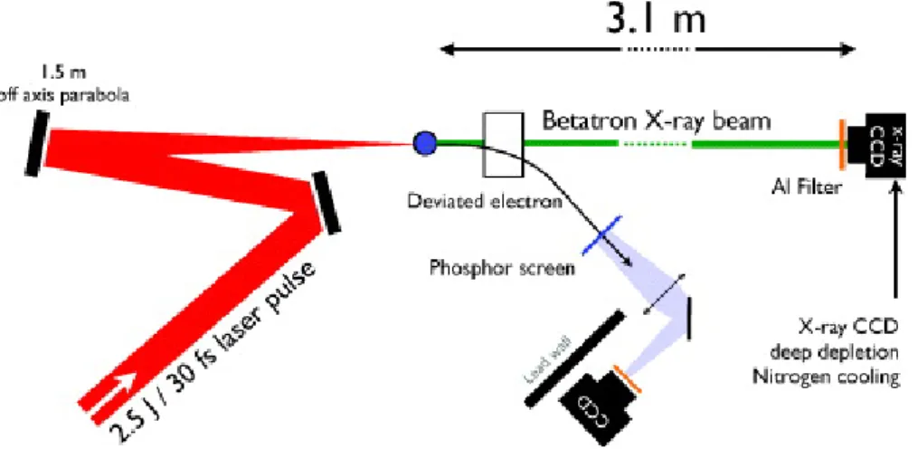 Figure 29 – Schéma du dispositif expérimental pour la création d’une source bétatron dans l’expérience réalisée sur l’ALLS