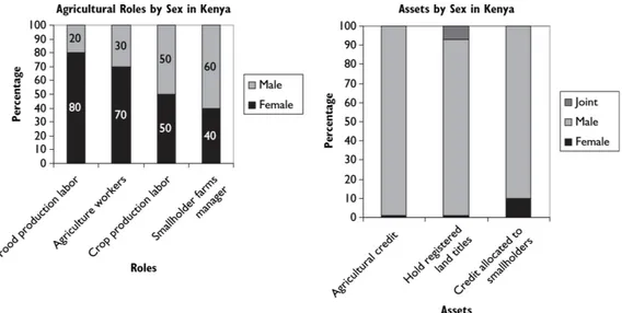 Figure  2.1  Rôles  et  accès  aux  ressources  pour  les  femmes  et  les  hommes  dans  le  secteur  de  l'agriculture au Kenya (tiré de WB et al., 2009) 