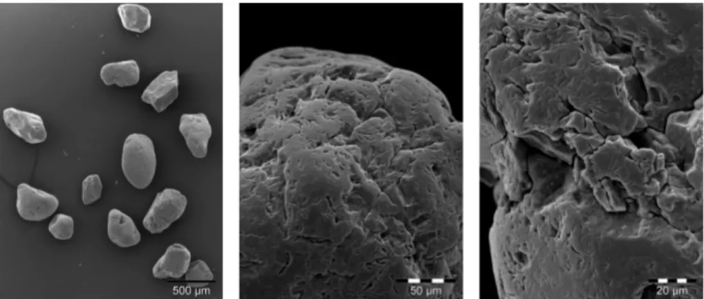 Figure 2.1: Photos du sable de Fontainebleau prises par Microscope Électronique à Balayage (prises par Albert Jacobs, et Isabelle Bornard).