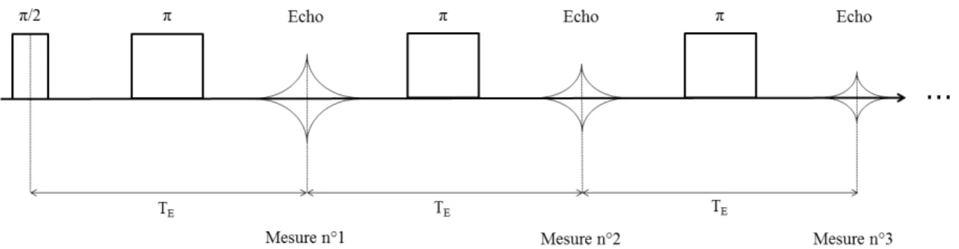 Figure 2.16: Représentation schématique de la séquence CPMG. 2.3.2.5 Imagerie par Résonance Magnétique