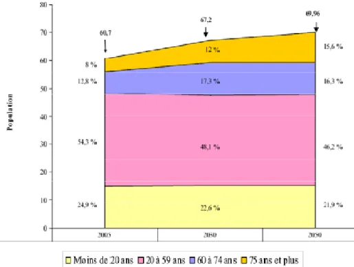 Figure 4. Structure of the French population from 2005 to 2050 