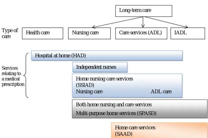 Figure 6. Home care: Diversity of services 