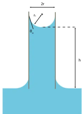 Figure 1-19: Capillary rise experiment performed in a cylindrical tubes. The base of the  tube is dipped in an infinite water bath
