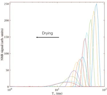 Figure 2-12: (a) Evolution of the T2 spectrum of a gel made with 12nm particles and ž ; ' &#34;61 during drying