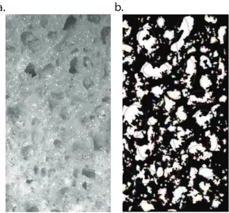 Figure 2-18: Example of pore detection and pore fitting from the software (a) represents  the portion of the sponge analyzed (5.2cm x 3cm – photo cropped for size purposes) (b)  detection and fitting results from the software