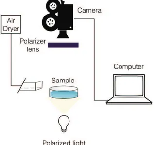 Figure  2-23:  Set-up  built  to    image  strain  at  the  gel-substrate  interface  thanks  to  a  polarized light and lens 