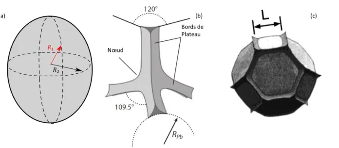 Figure 3 : (a) Schéma d’une interface dont la courbure est caractérisée par deux rayons R 1 et R2 (b) Schéma d’un bord de Plateau  qui illustre les lois de Plateau, issu de [4] (c) Cellule de Kelvin, figure de A.Kraynik dans une communication privée