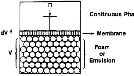 Figure 5 : Membrane semi-perméable qui sépare la mousse de la phase continue[8] 