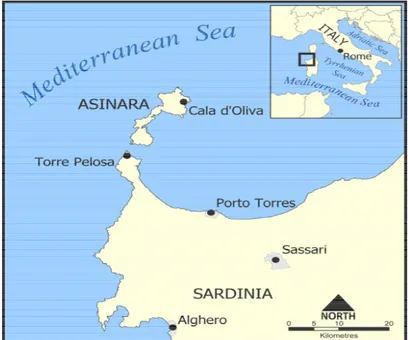 Figure 4.1  Situation géographique de la réserve nationale marine de l’île d’Asinara 