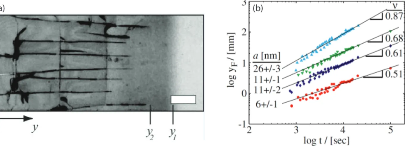 Figure 1.30 – (a) Image d’une suspension aqueuse de nanoparticules de silice (de rayon a =