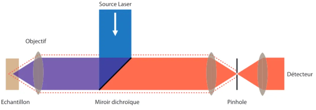 Figure 2.18 – Schéma de principe d’un microscope confocal. La lumière laser (bleue) est