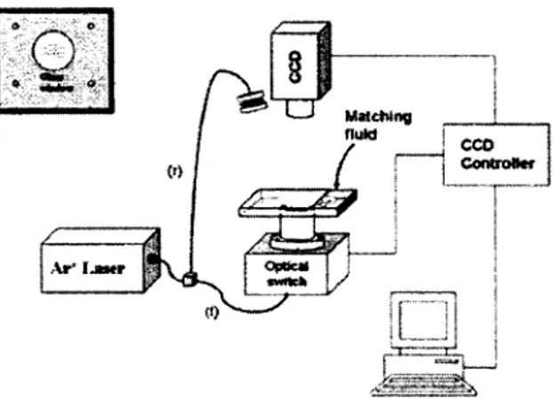 Figure  2.9  N tziachristos  et  al  [Zacharakis  et  a l,  2005]  :  Système  CW   dans  le  domaine  visible.