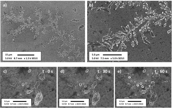 Fig. 22 – SEM images of a decene grafted a-Si:H electrode after the first electrochemical cycle