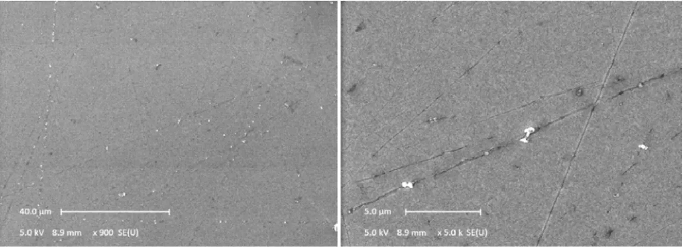 Fig. 28 – SEM images of a polyethylene glycol grafted a-Si:H electrode after the first electrochemical cycle