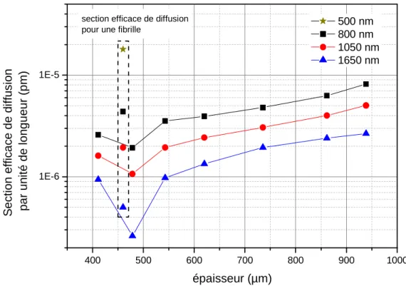 Figure 19 : Section efficace de diffusion en fonction de l’épaisseur des cornées à différentes longueurs  d’ondes : 500 nm, 800 nm, 1050 nm et 1650 nm