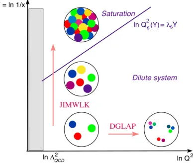 Figure 2.7: QCD phase diagram. From left to right, the evolution is the ordinary evolution with the energy that is governed by the DGLAP equation and increases the resolution of the theory at short lengths