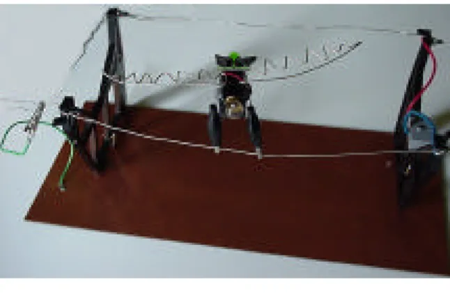 Figure 6 : L’oiseau sur le fil.