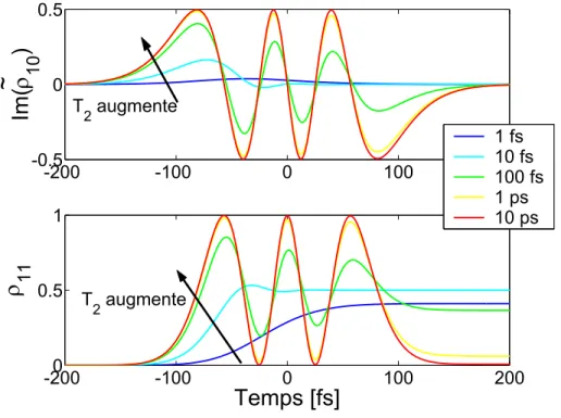 Fig. 1.5 : Calcul de la coh´ erence Im(ρ 10 ) et de la population ρ 11 au cours de
