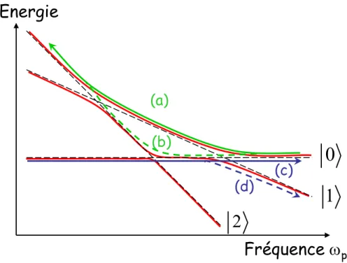 Fig. 1.17 : Chemins quantiques emprunt´ es dans le cas d’une excitation en faible