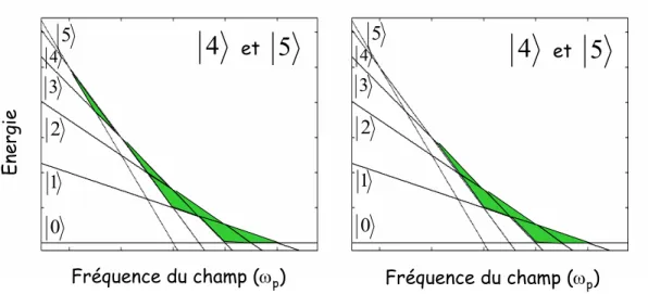 Fig. 1.29 : Les deux situations d’interf´ erences ` a l’origine des oscillations de la popu-