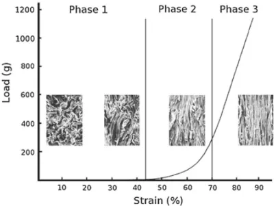 Figure I.27 – Stress/strain curve for skin, with samples observed with scanning electron microscopy at different strain levels