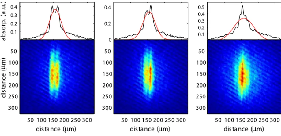 Figure 1.5: Longitudinal phase fluctuations in a quasi-condensate convert into (random) in- in-terference fringes in (20 ms) time-of-flight absorption imaging [25] (preliminary data from the Heidelberg experiment)