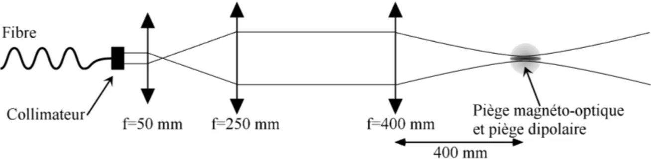 Figure 3.1: Mise en forme du laser pi` ege. A la sortie de la fibre, le faisceau collimat´ e est agrandi `