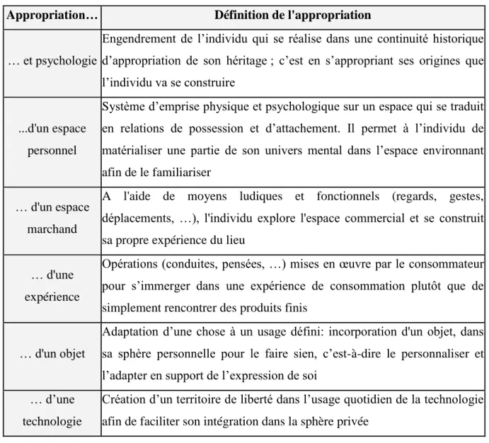 Tableau 4: Définitions et applications du concept d’appropriation 