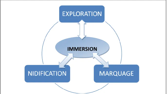 Figure 4 : Le processus d’immersion (Carù et Cova, 2003, p. 57) 