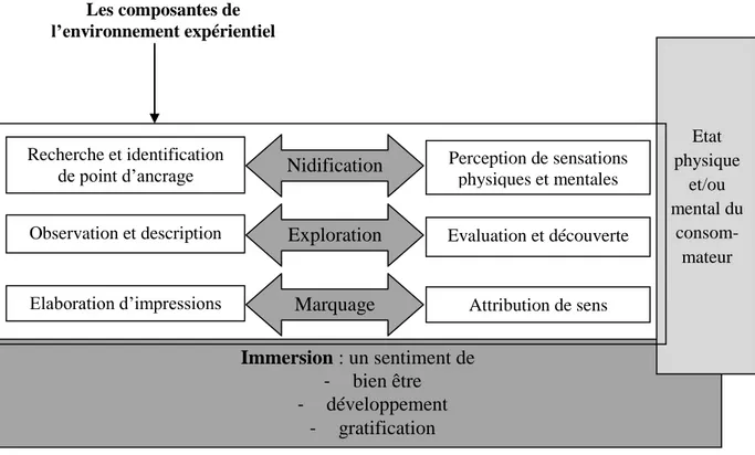 Figure 5 : Le modèle global d’immersion dans l’expérience de consommation (Carù et  Cova, 2003, p