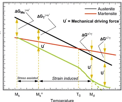 Fig. 1.3. Effect of temperature on the Gibbs free energy of both martensite and  austenite phases [10,11]