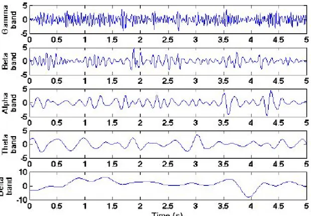 Figure 2.10 EEG signal in time domain filtered by the identified frequency  band. Adapted from Abo-Zahhad [129]