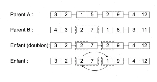 Figure 4.3 Exemple de croisement de chromosomes a taux fixe 