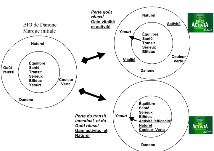 Figure 4  : Evolution graphique de la représentation de Bio selon les deux  stratégies Équilibre Santé  Sérieux  Bifidus  Activité /efficacité  Naturel  Couleur  Verte Yaourt Équilibre Santé Transit Sérieux BifidusVitalitéNaturelDanone Couleur   Verte Acti