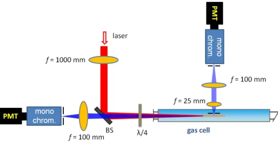 Figure 4.2: Schematic experimental setup. The incident femtosecond pulse is focused by an f = 1000 mm lens