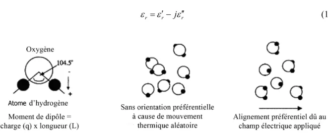 Figure  1.1 : Orientation des molécules d'eau, sans et avec champ appliqué (d’après Robinson et al