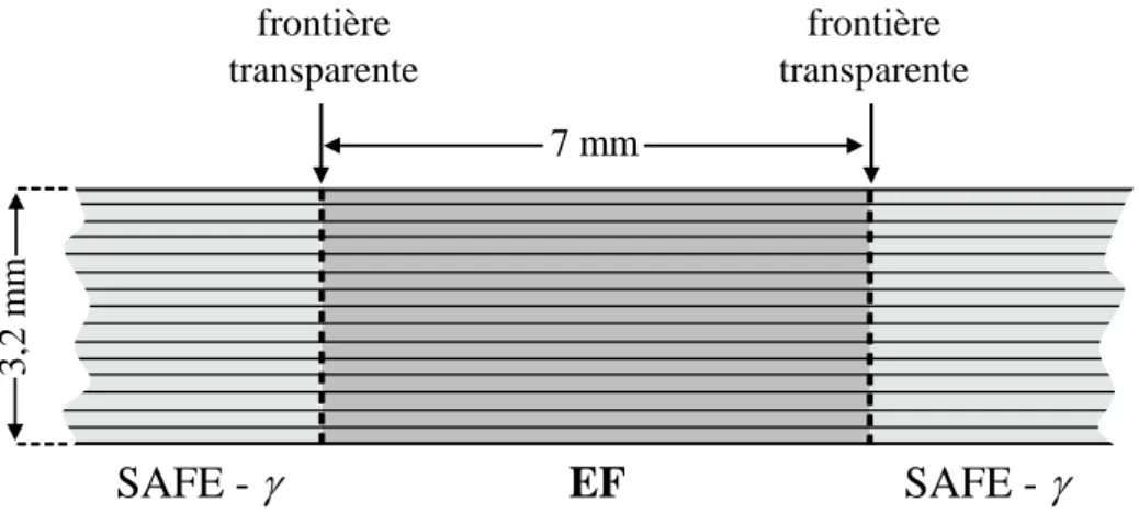 Figure  6-1:  géométrie  de  la  plaque  saine  pour  la  première  validation de la méthode.