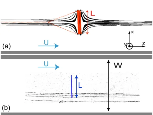 Figure 1.12 – Lignes de courant expérimentales pour des cylindres touchant une paroi (en y )