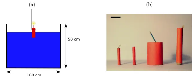 Figure 2.1 – (a) Montage expérimental. (b) Les différents pétards utilisés, qui renferment, de gauche à droite, 1, 1.3, 2 et 5 g de poudre