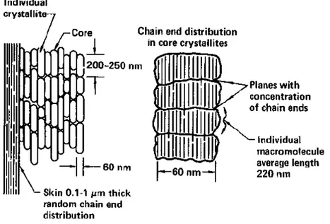 Figure 11 : Modèle de structure des bouts de chaîne par Morgan et al. [26] 