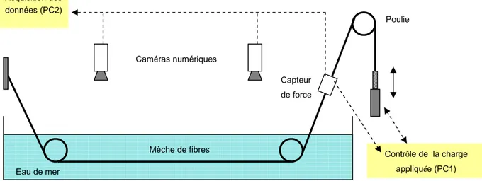 Figure 14 : « Banc de fluage-recouvrance » équipé d’un système de chargement- chargement-déchargement avec suivi numérique de la déformation (ici, dans l’eau de mer)
